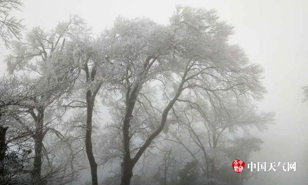 1月18日，位于黔东南州剑河县南哨镇海拔1500米左右的老山界，山岭树梢挂满雾凇。