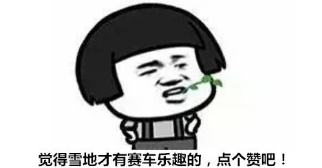 一路向北的热情 CRC长春收官战观赛日记