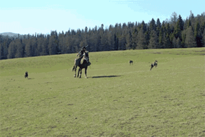 这个策马奔腾的姿势是不是real帅气!