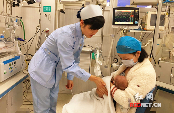 湘雅二医院成功救治570克“掌心宝宝”