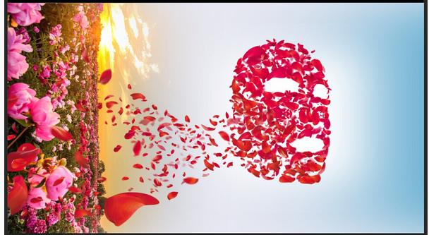 辣妈肌肤的秘密 自制鸡蛋清蜂蜜面膜