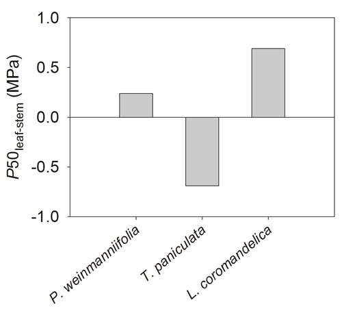 物园揭示干热河谷木本植物应对季节性干旱的水