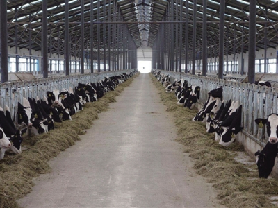 赣商集团抄底中兴牧业,阚治东导演|中兴|牧业|集团