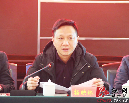 县委副书记杨映林在主持会议