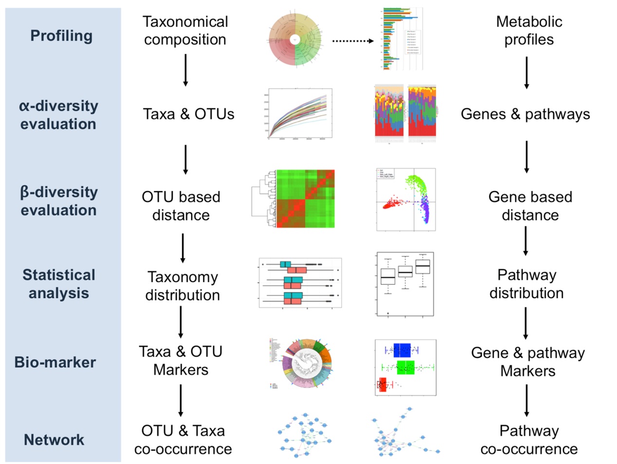 青岛能源所微生物组大数据分析工具开发获进展
