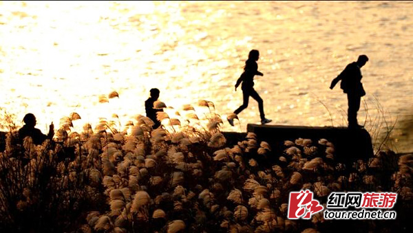 盘点2016：湖南旅游业在全国有影响力的十件大事
