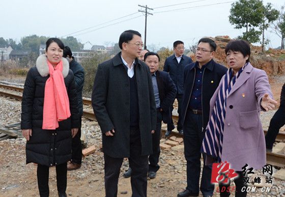 娄底市委副书记何文君到双峰甘棠镇长冲坪村调研