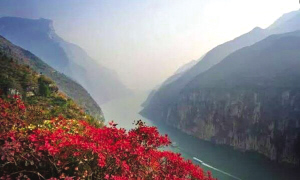 重庆主城区gdp_主城区货车通行证集中换发浙江瑞安2间民房因煤气爆炸倒塌