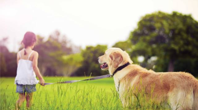 儿童耳屎能挖吗?知道真相的你肯定会后悔!|儿