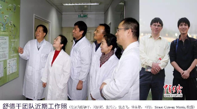 我国科学家发现5.35亿年前毫米级微型人类远祖