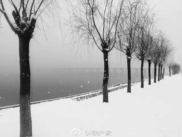 河南现浓雾暴雪 春运返程高速受影响