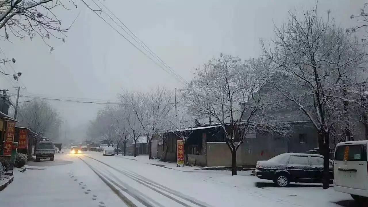 雪中情,唯有与你同行|雪地|雪中情|小脚印