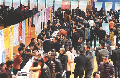 送岗位 迎新春|招聘会|江苏网|视觉