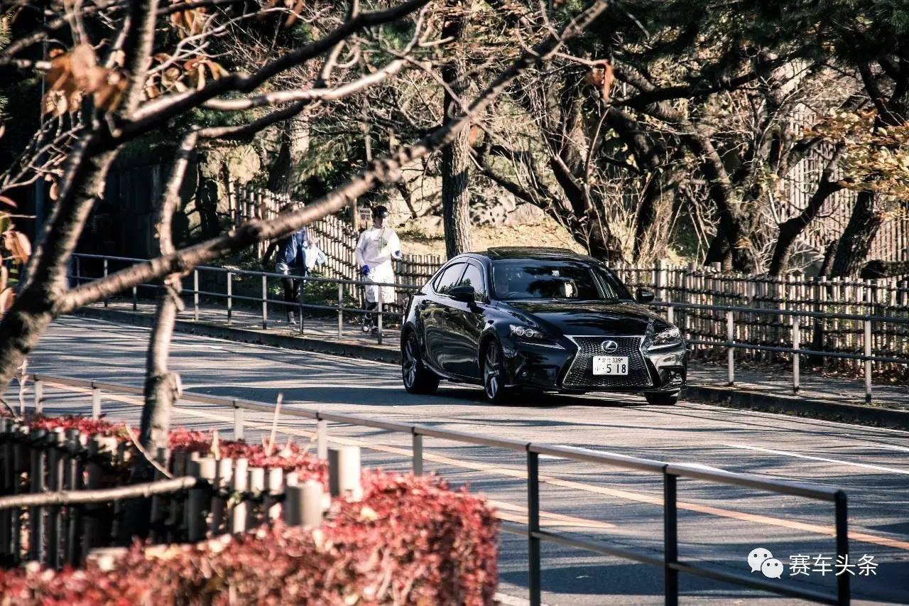 头条菌与Tokyo Hot(高清、无码).jpg