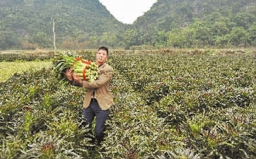 花呗套现二维码_花呗怎么套现