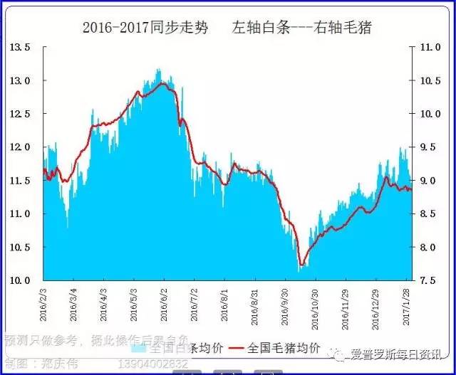 多地猪价下行,白条节后掉价严重,这价还能熬到