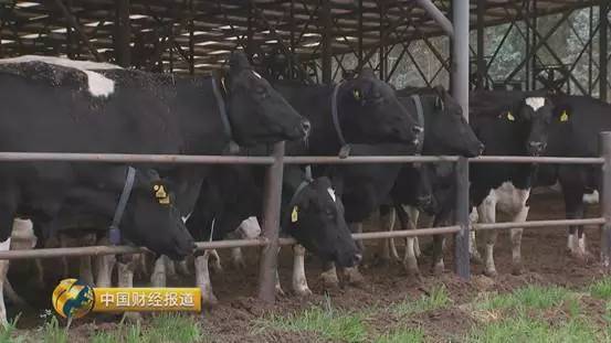 赌博心态与技巧赢钱_赌博心态与技巧赢钱_百