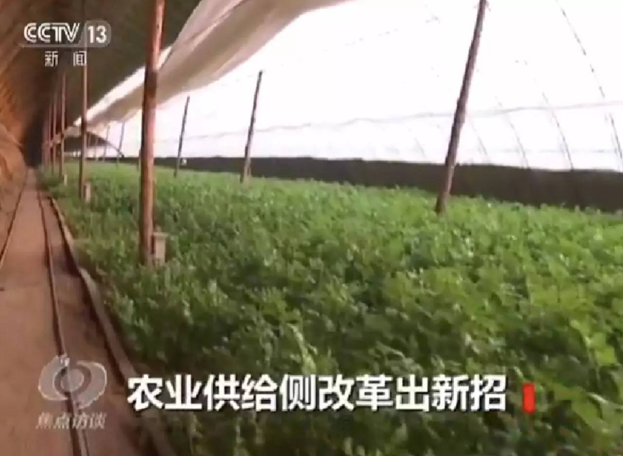 2017年中央一号文件公布!农业发展的主要矛盾