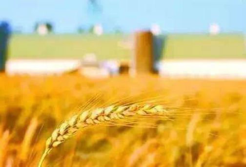 中央一号文件:支持闲置宅基地做休闲旅游养老