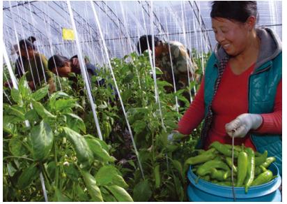 360度的照顾 江西省西山学校全面保障学子吃