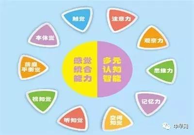 感觉统合，持续提供孩子大脑的"营养餐"，你了解吗?|感统|感觉统合|开发大脑_新浪育儿_新浪网