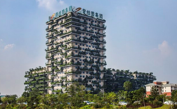 486亿销售额支撑股价 碧桂园(02007)首月业绩