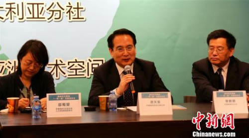 中国国务院侨务办公室副主任谭天星在座谈会上发表重要讲话。 任翔 摄
