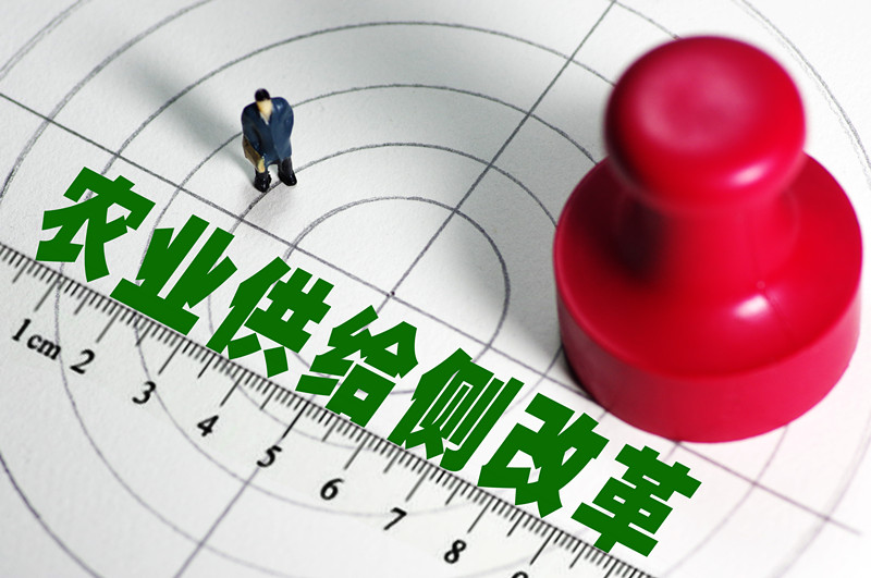 1号文件强调供给侧改革 党国英:农地流转制改