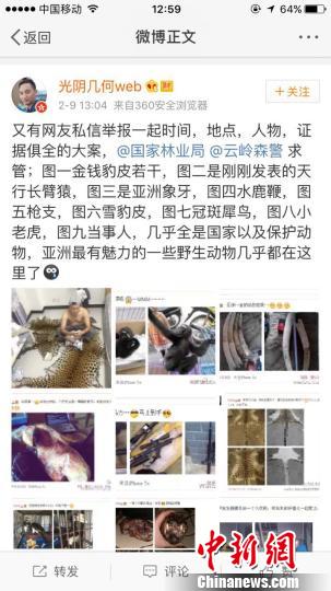 微博用户@光阴几何web发贴举报，有人贩卖野生动物。 微博截图