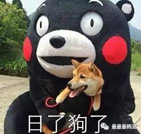 张贤胜和新人组BEAST2.0？其他五个人集体狗带？CUBE真疯了？