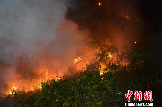 福建海警官兵成功扑灭一起山林火灾