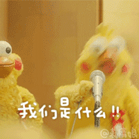 韩国宅男们最喜欢的女网红Top10！胸大的模特为何输给了平胸妹？