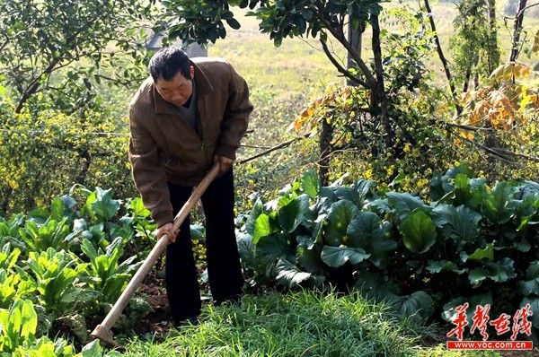 【中国好人·声音故事】孝老爱亲好人--姜甫稳