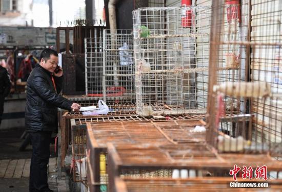 中国9个省份7天发现12例H7N9病例