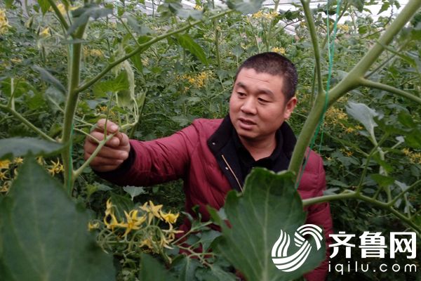 种地也得要证!平度11500名新型职业农民持证