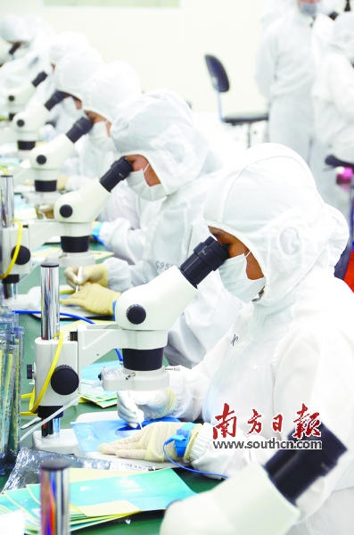 吸纳大学生就业可享政策补贴