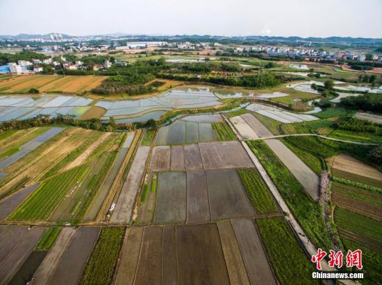 资料图:航拍广西柳州市柳北区沙塘镇耕地,五彩缤纷。 黄威铭 摄