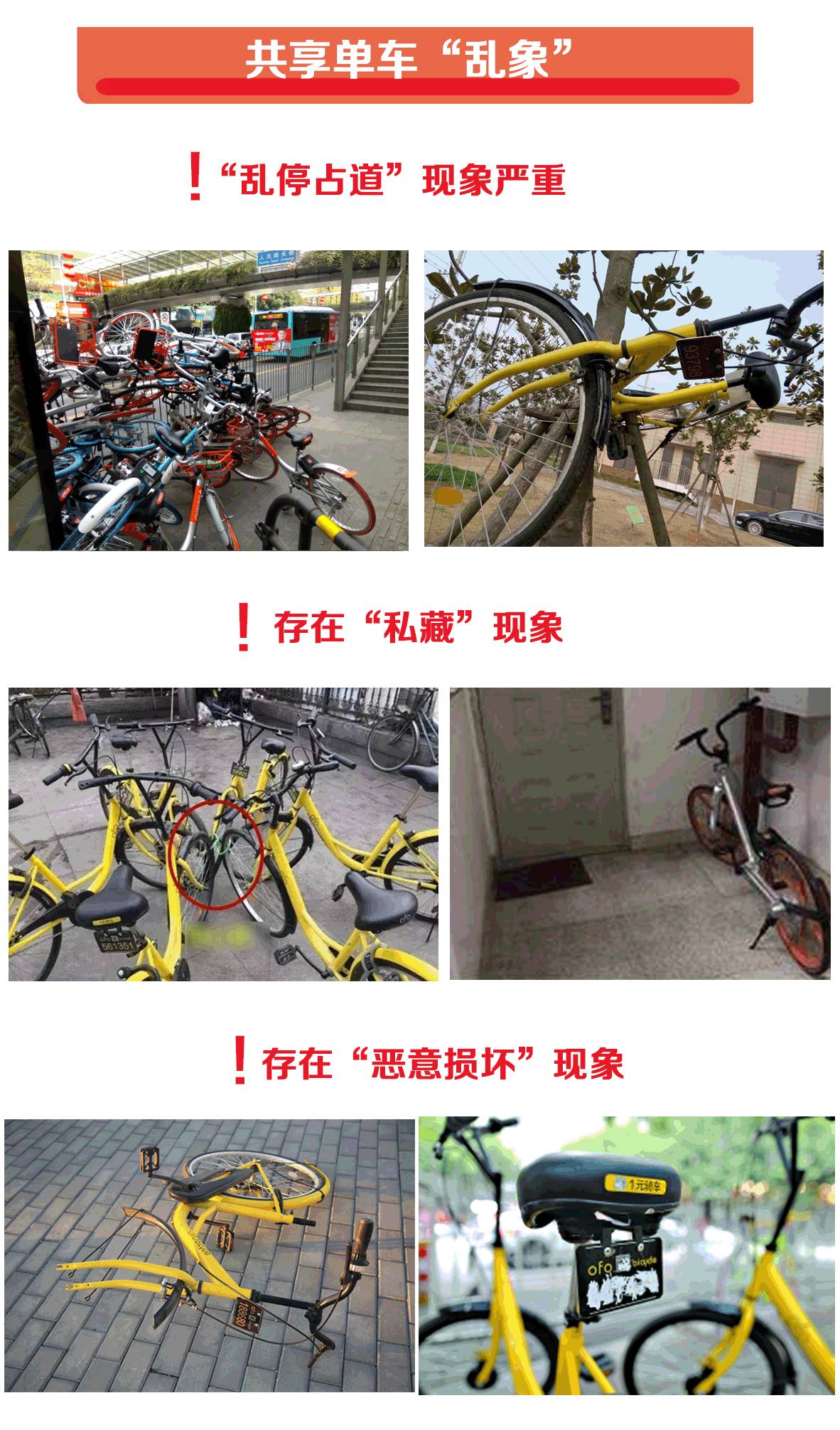 评论丨管理共享单车：最该分享的是自律 最好的服务是监管