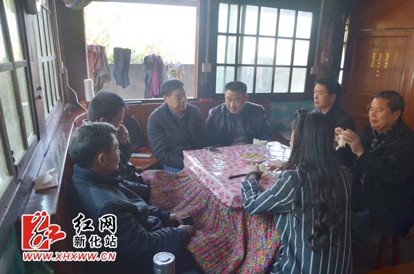 省林业厅调研新化高寒山区红化油茶种植情况