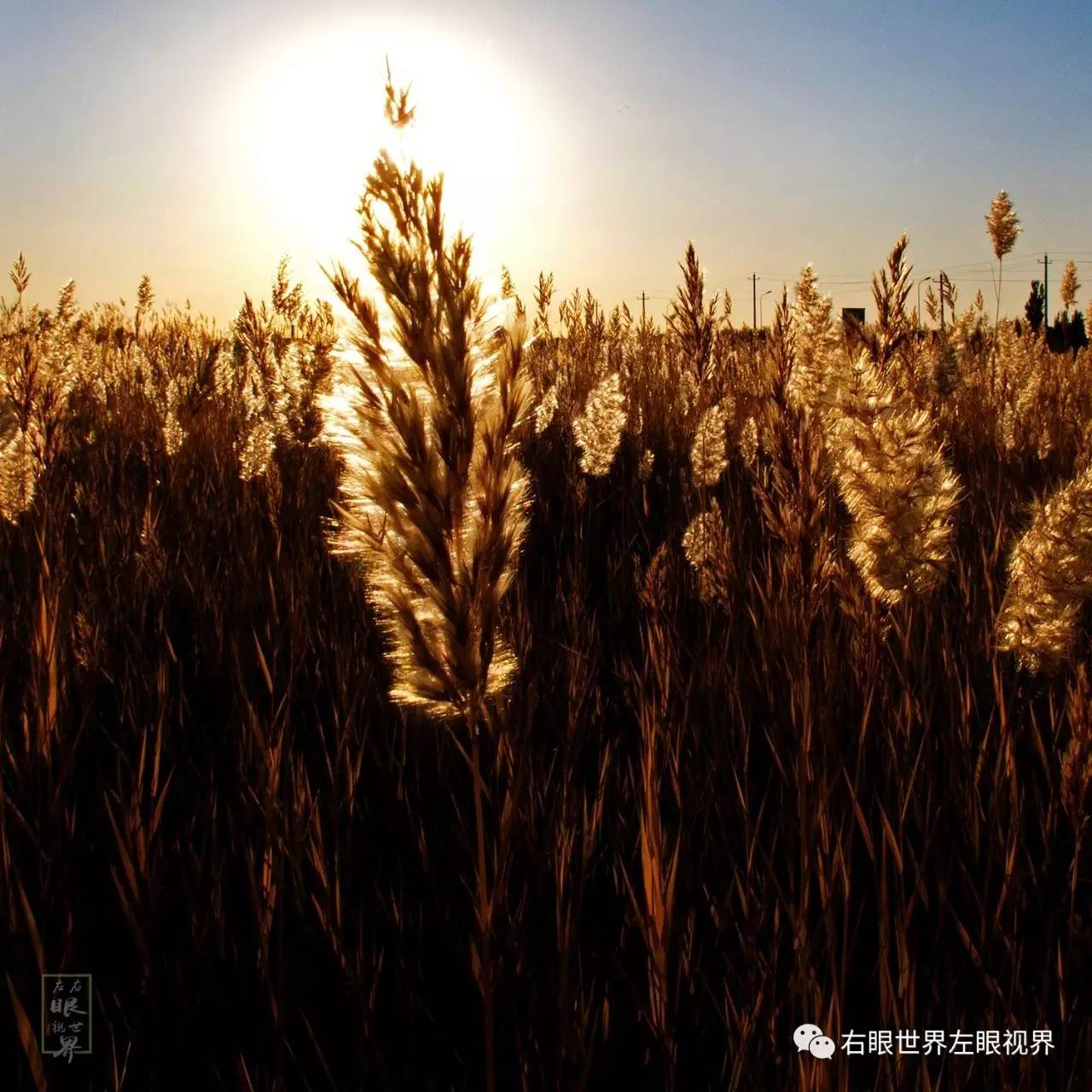 赵雷成都d调简谱图片