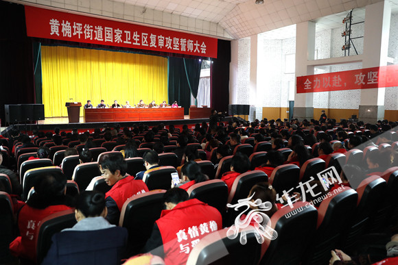 共建幸福之城 九龙坡打响国家卫生区复审攻坚