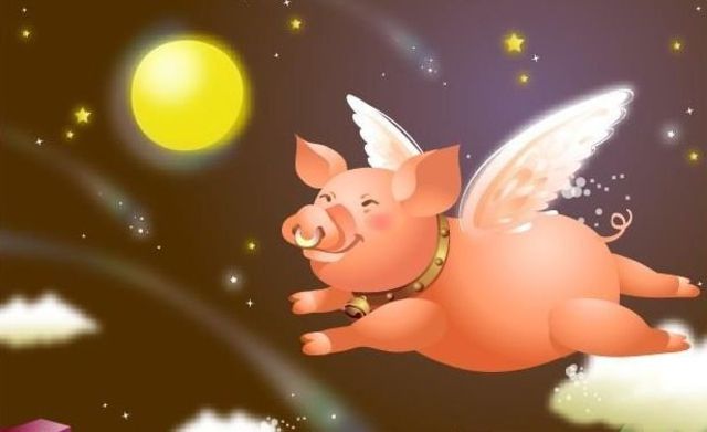 芬兰航空入驻阿里 飞猪 谈赚钱生意