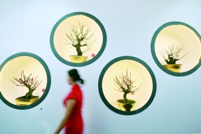 响水湖边将现梅映长城 景区展出800余盆精品梅