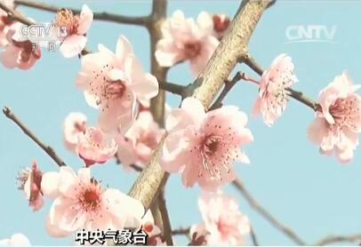 中央气象台:冷空气来袭 下周天气湿冷为主|中央