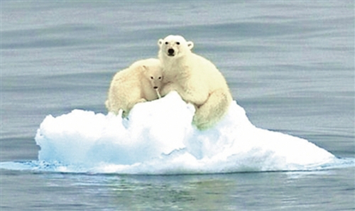 拉尼娜为何没带来冷冬_新浪财经_新浪网