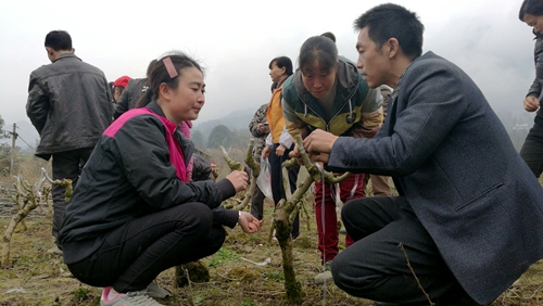 黔江区后坝 人口_诗和远方伴春行 清明小长假重庆黔江各景区人气旺