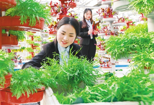 盱眙市区人口_盱眙龙虾