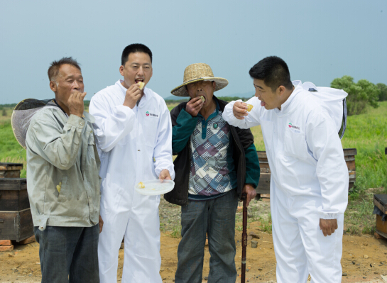 东北黑蜂上京东:乌苏里江畔电商扶贫路