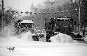 2月19日，在新疆阿勒泰地区布尔津县城，清雪车在清扫路面积雪。新华社发