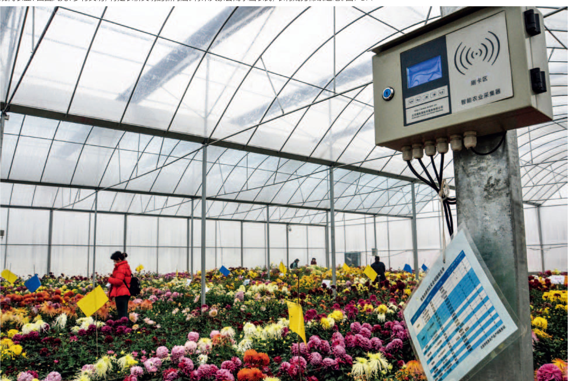 《财经》独家 | 专访农业部部长韩长赋:共筑农业现代化|农业|农业现代化|农民_新浪财经_新浪网